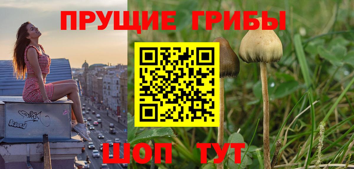 Псилоцибиновые грибы прущие грибы  Вход с VPN  Джанкой  Псилоцибиновые грибы мухоморы 